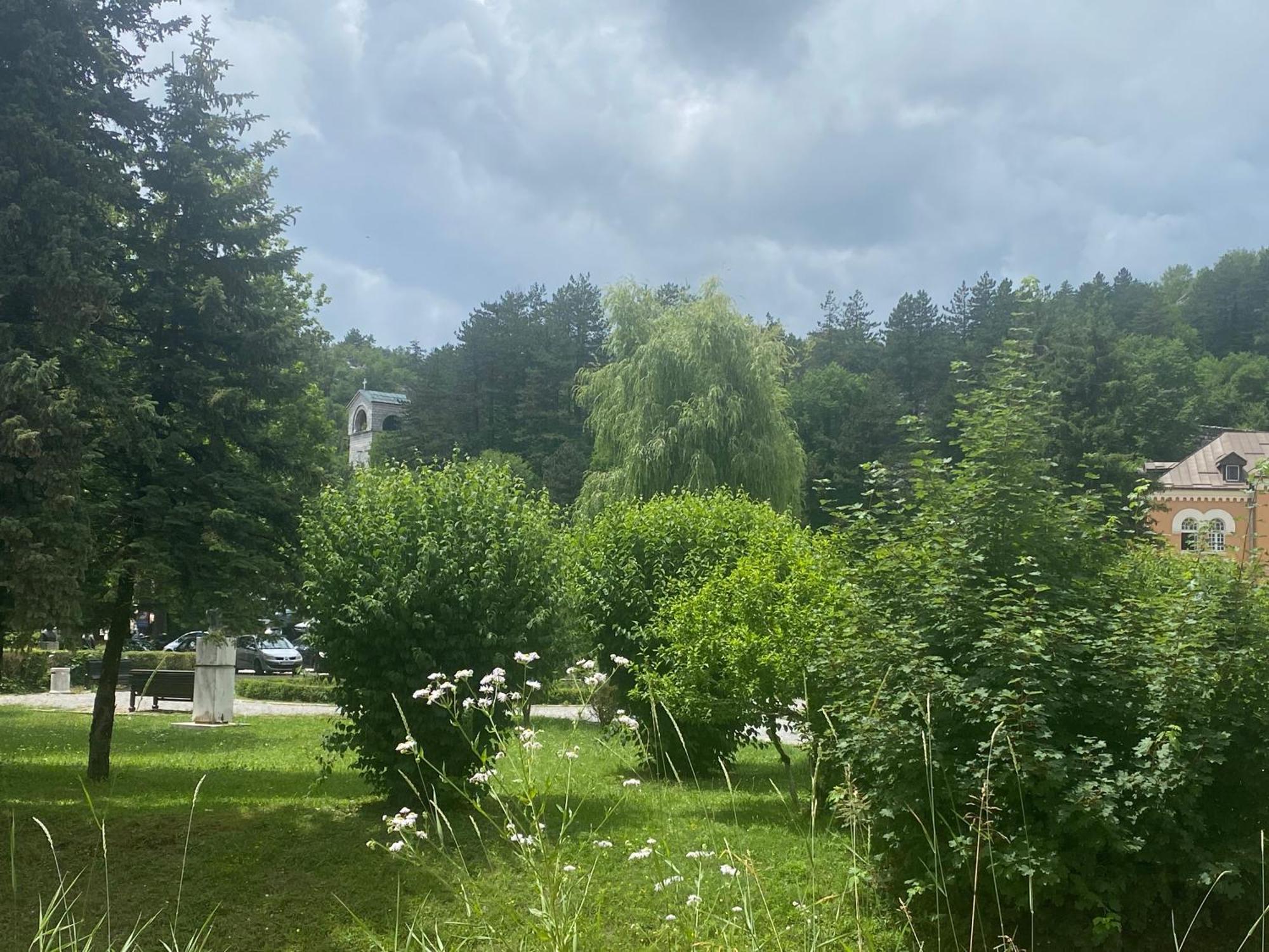 Bokan Apartment Cetinje